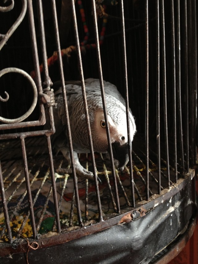 grandoteldeLondres (6)