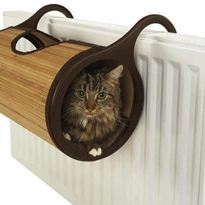 hayvanicintasarim (7)