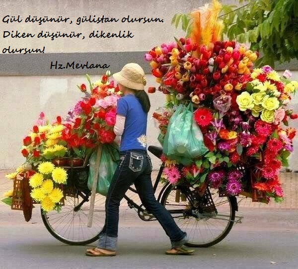 Hz.Mevlana-Sozleri (1)