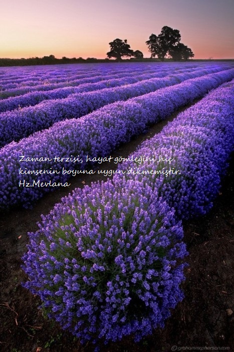 Hz.Mevlana-Sozleri (10)