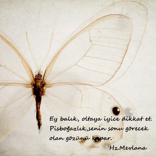 Hz.Mevlana-Sozleri (10)
