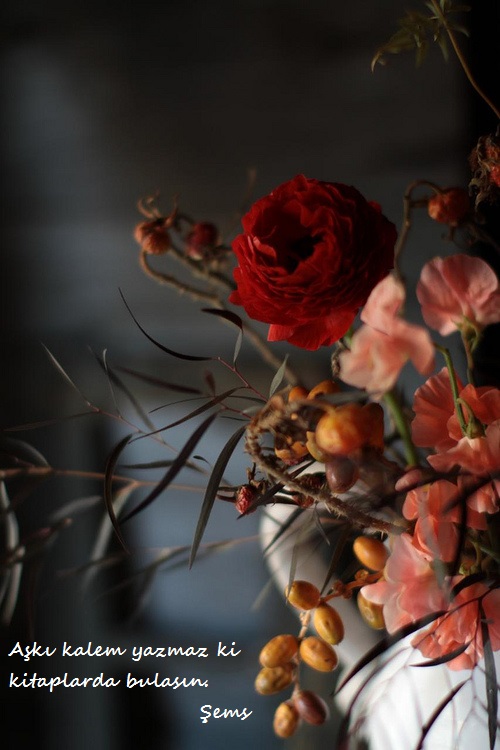 Hz.Mevlana-Sozleri (11)