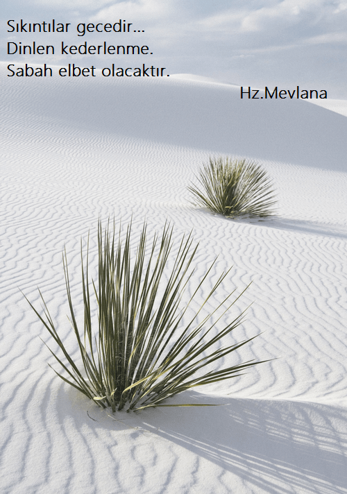 Hz.Mevlana-Sozleri (1)