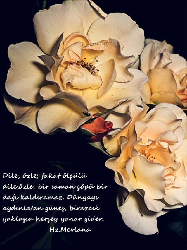 Hz.Mevlana-Sozleri (13)