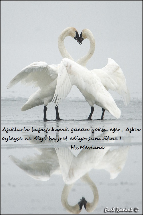 Hz.Mevlana-Sozleri (13)