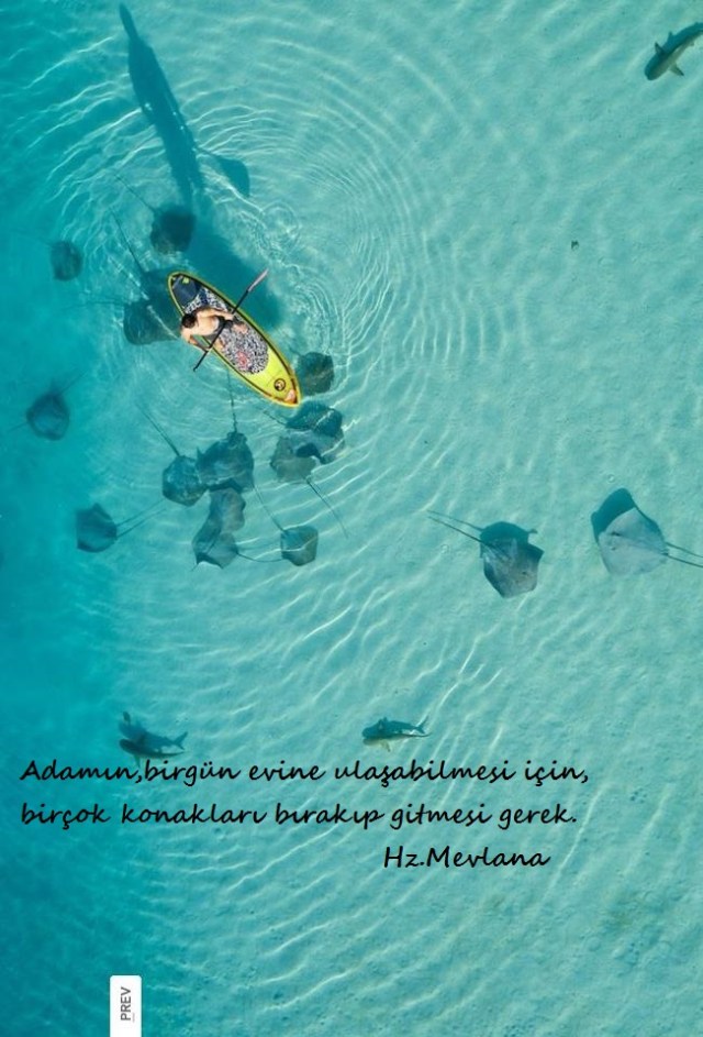 Hz.Mevlana-Sozleri (14)