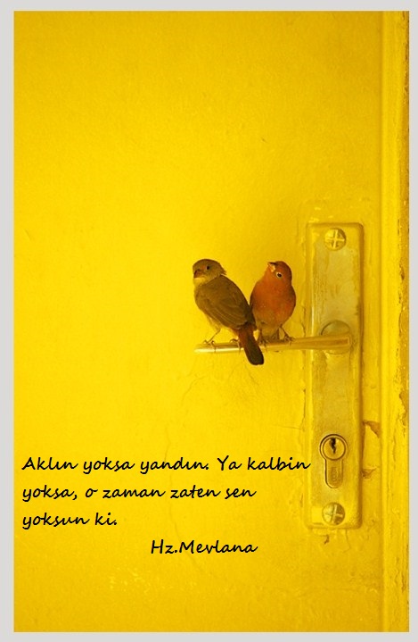 Hz.Mevlana-Sozleri (15)