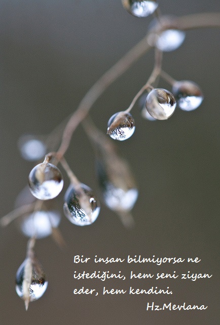 Hz.Mevlana-Sozleri (17)