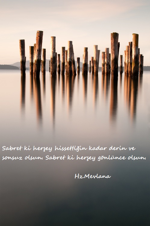 Hz.Mevlana-Sozleri (18)