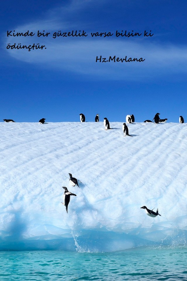 Hz.Mevlana-Sozleri (19)