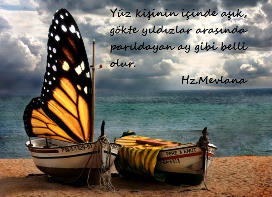 Hz.Mevlana-Sozleri (2)