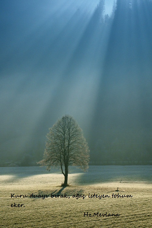 Hz.Mevlana-Sozleri (2)