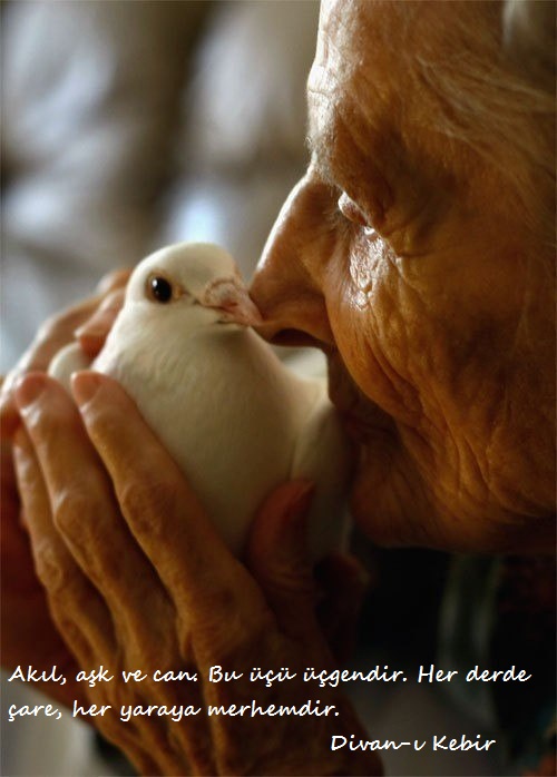 Hz.Mevlana-Sozleri (22)