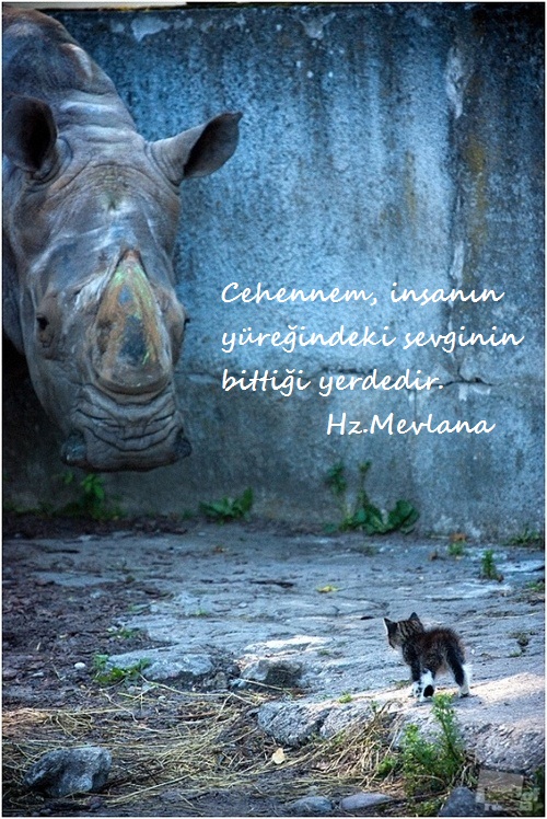 Hz.Mevlana-Sozleri (23)