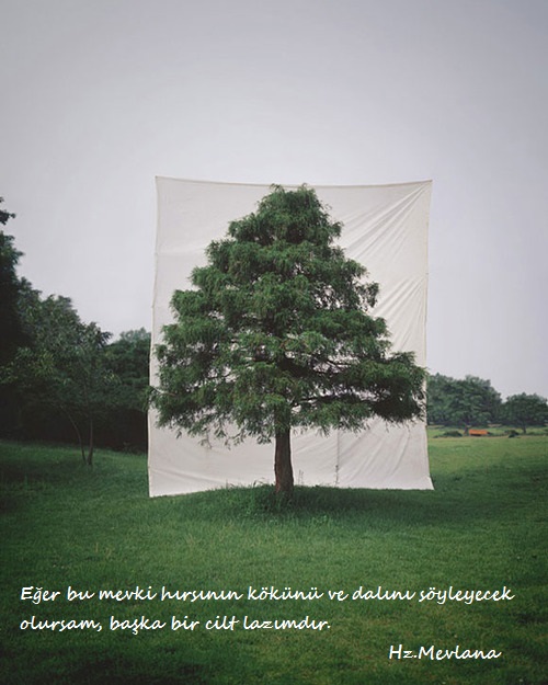 Hz.Mevlana-Sozleri (24)