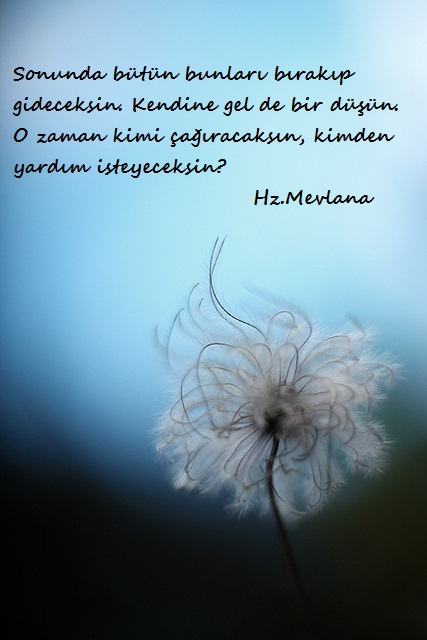 Hz.Mevlana-Sozleri (27)