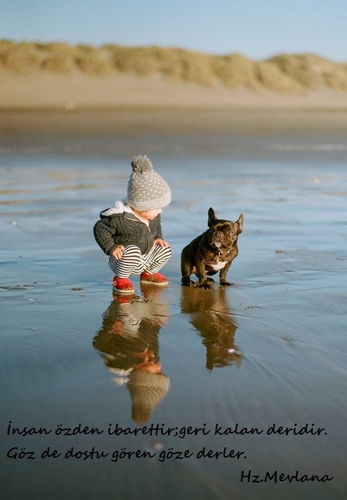 Hz.Mevlana-Sozleri (29)