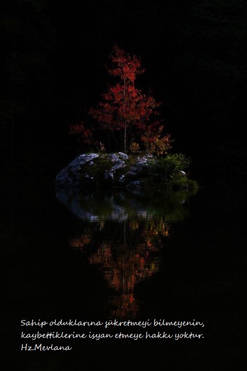 Hz.Mevlana-Sozleri (30)
