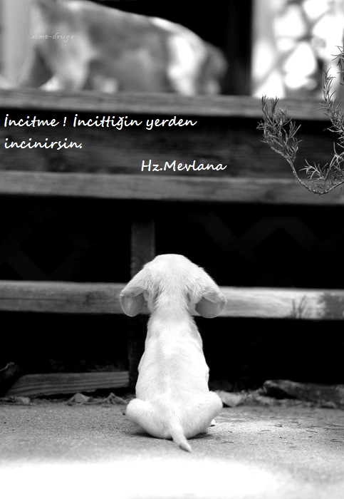 Hz.Mevlana-Sozleri (31)