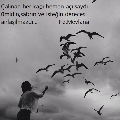 Hz.Mevlana-Sozleri (31)