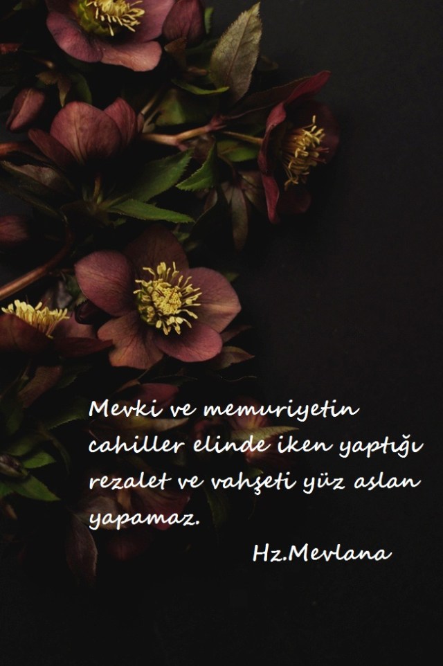 Hz.Mevlana-Sozleri (34)