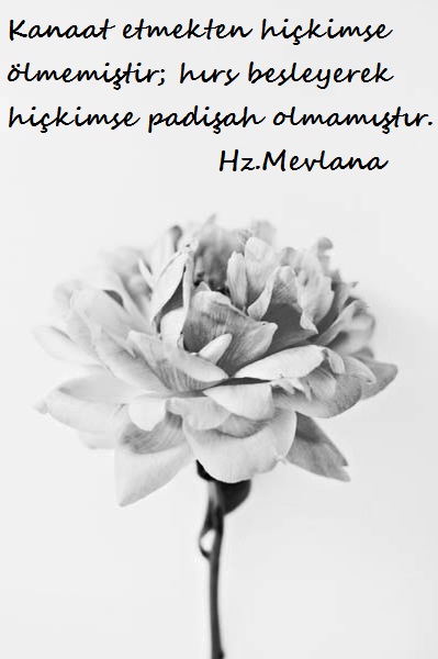 Hz.Mevlana-Sozleri (38)