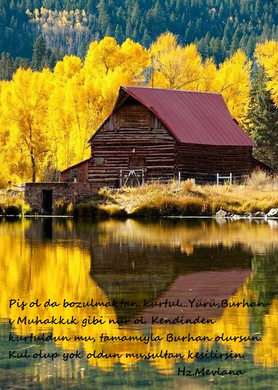 Hz.Mevlana-Sozleri (46)