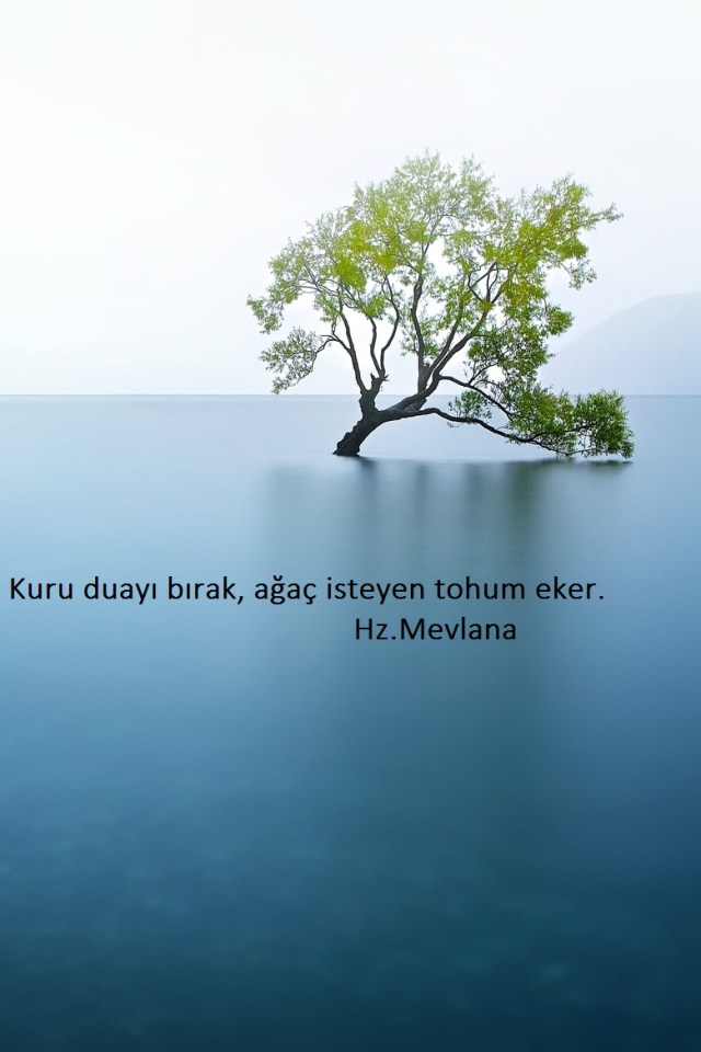 Hz.Mevlana-Sozleri (47)