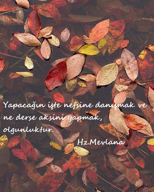 Hz.Mevlana-Sozleri (48)