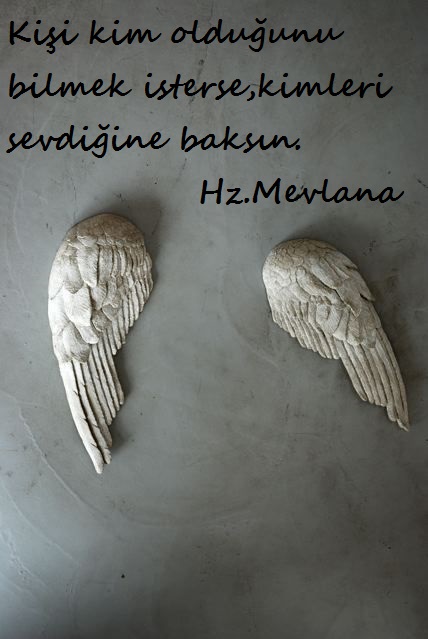 Hz.Mevlana-Sozleri (5)