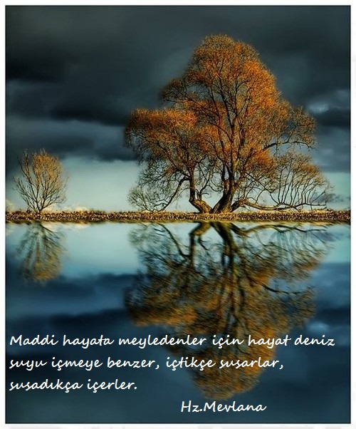 Hz.Mevlana-Sozleri (7)