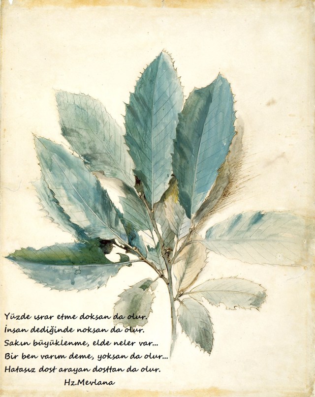 Hz.Mevlana-Sozleri (8)