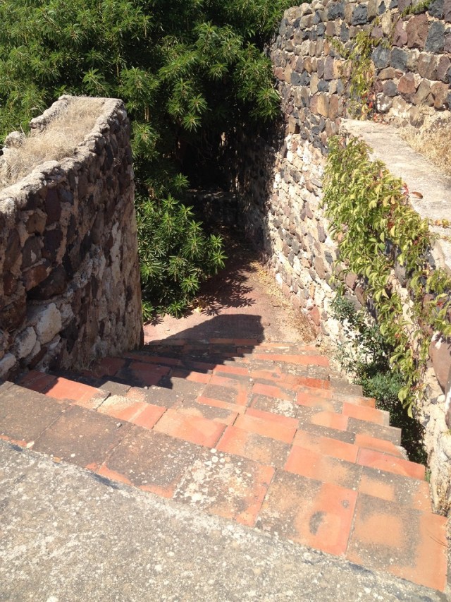 diskodokuzbucuk (11)