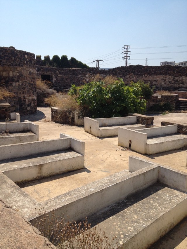 diskodokuzbucuk (12)