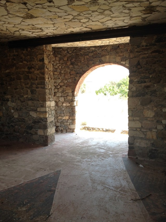 diskodokuzbucuk (22)