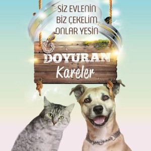 doyuran-kareler