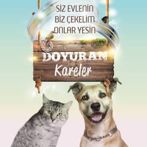 doyuran-kareler