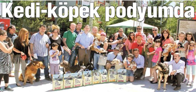 hayvan-guzellik-yarismasi