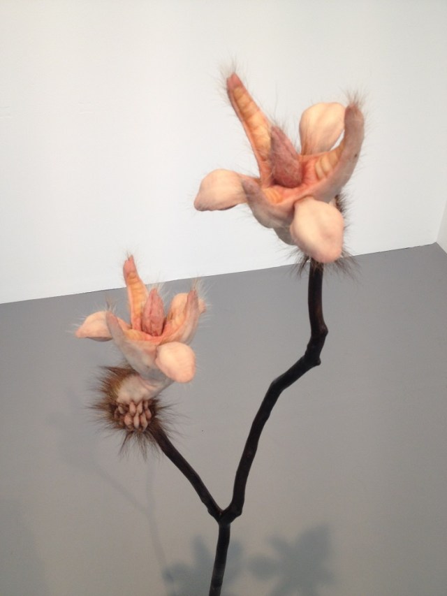 patricia.piccinini (1)