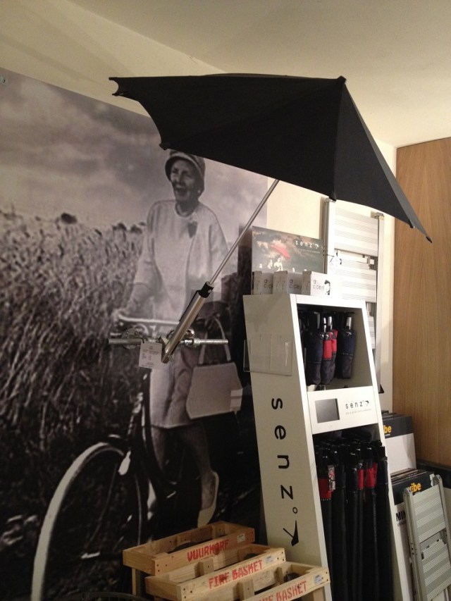 thefrozenfountain (19)