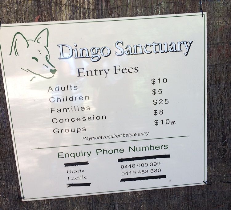 dingo-sanctuary-1