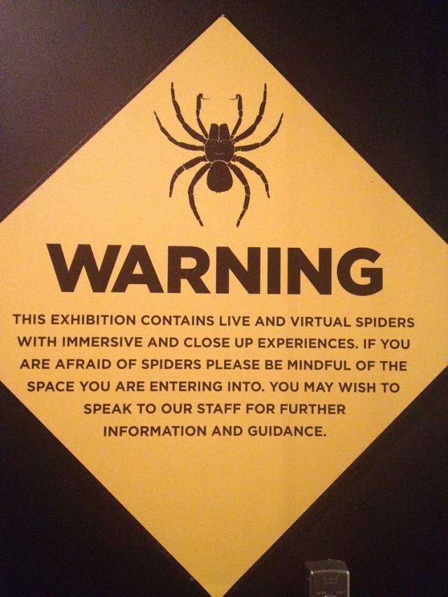 spiders-alive-and-deadly-1