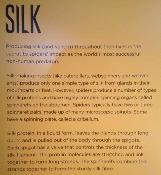 spiders-alive-and-deadly-101