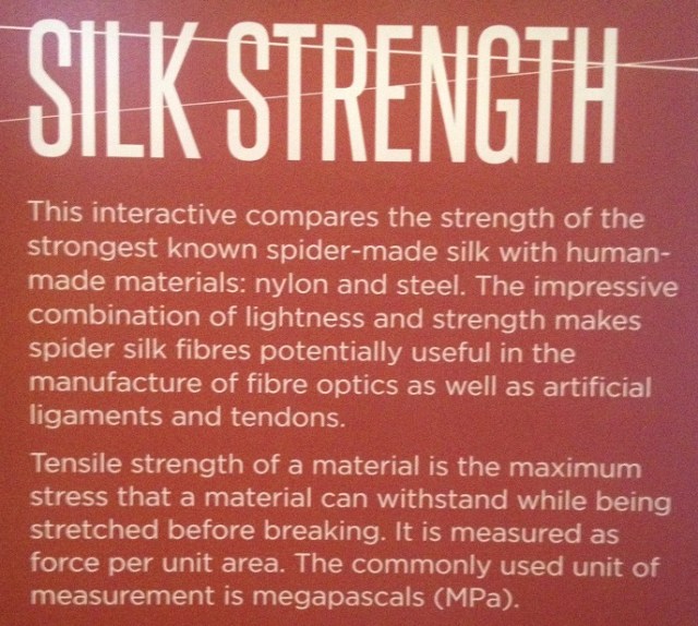 spiders-alive-and-deadly-106