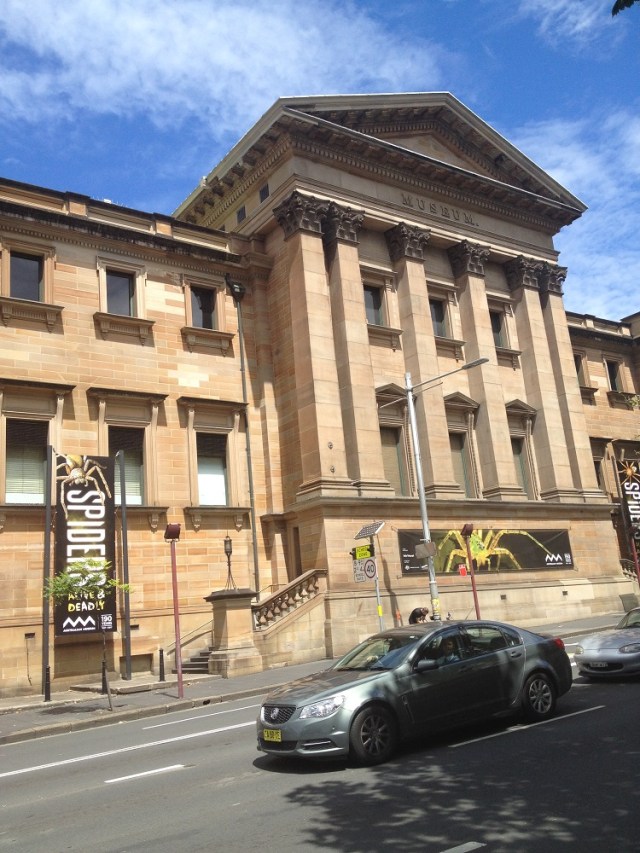 spiders-alive-and-deadly-121