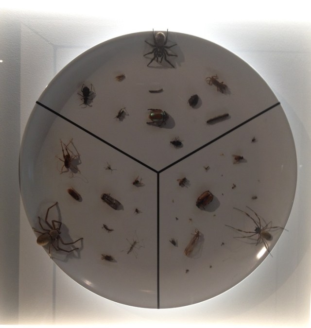 spiders-alive-and-deadly-73