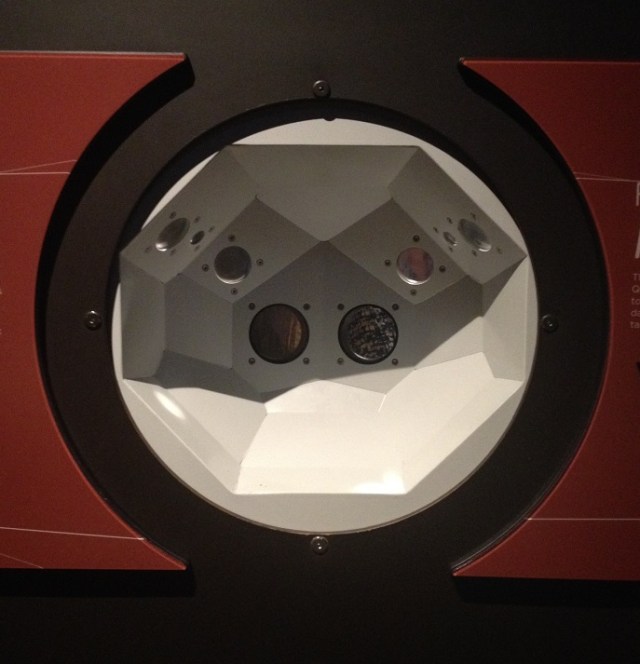 spiders-alive-and-deadly-79