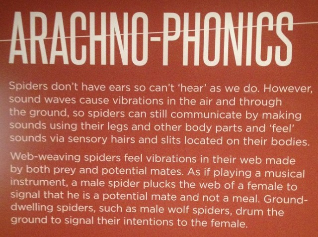 spiders-alive-and-deadly-94