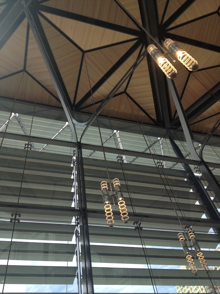 sydney-harbour-8