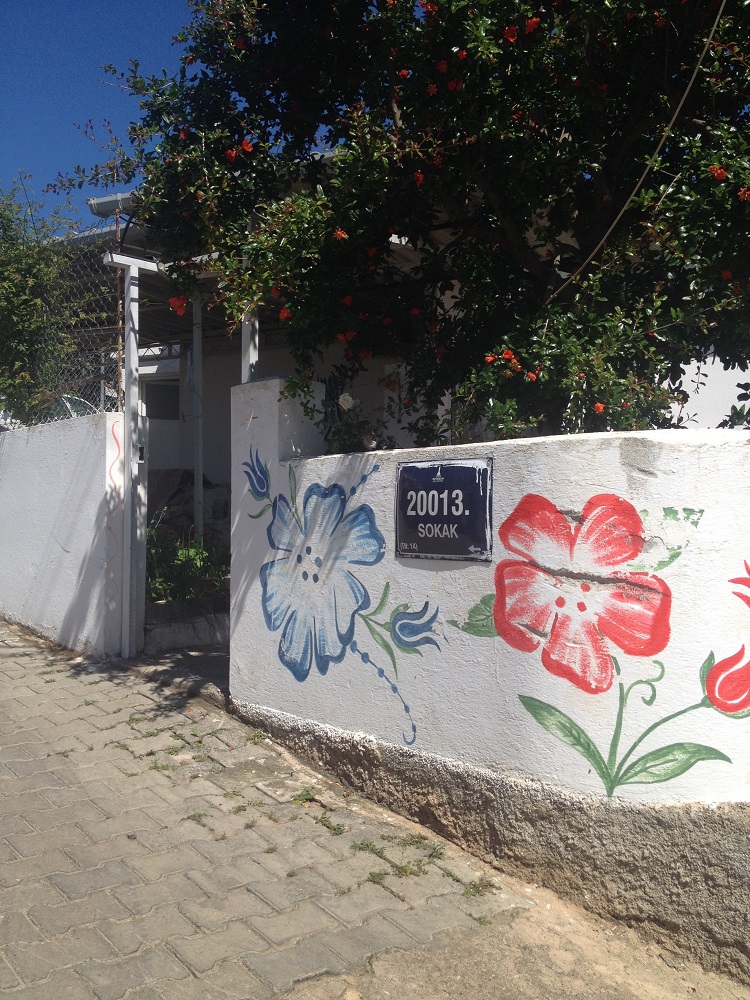 cesme-germiyan-koyu (13)